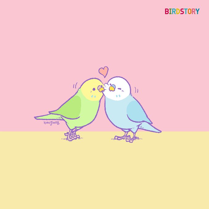 「BIRDSTORY」のTwitter画像/イラスト(新着))