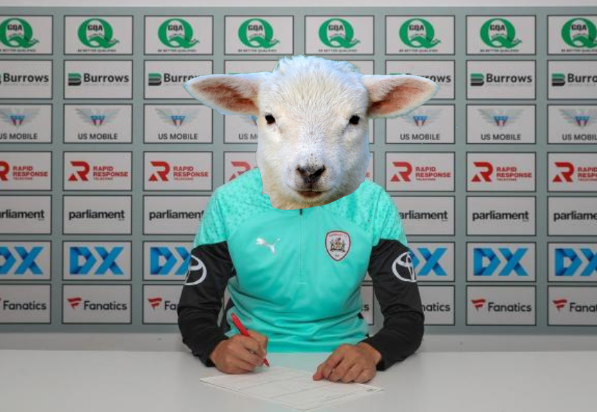 Realitycheck430's tweet photo. 🚨BREAKING NEWS🚨

@BarnsleyFC Sign much sought after Lamb Shank on a 4 year permenant to add to the Sunday Carvery 11

This new mouthwatering marinade will be a huge addition to the bolstering side with Flatbread up top and tatie on the wing.

Thoughts barnsley fans? https://t.co/5lesHbnekQ