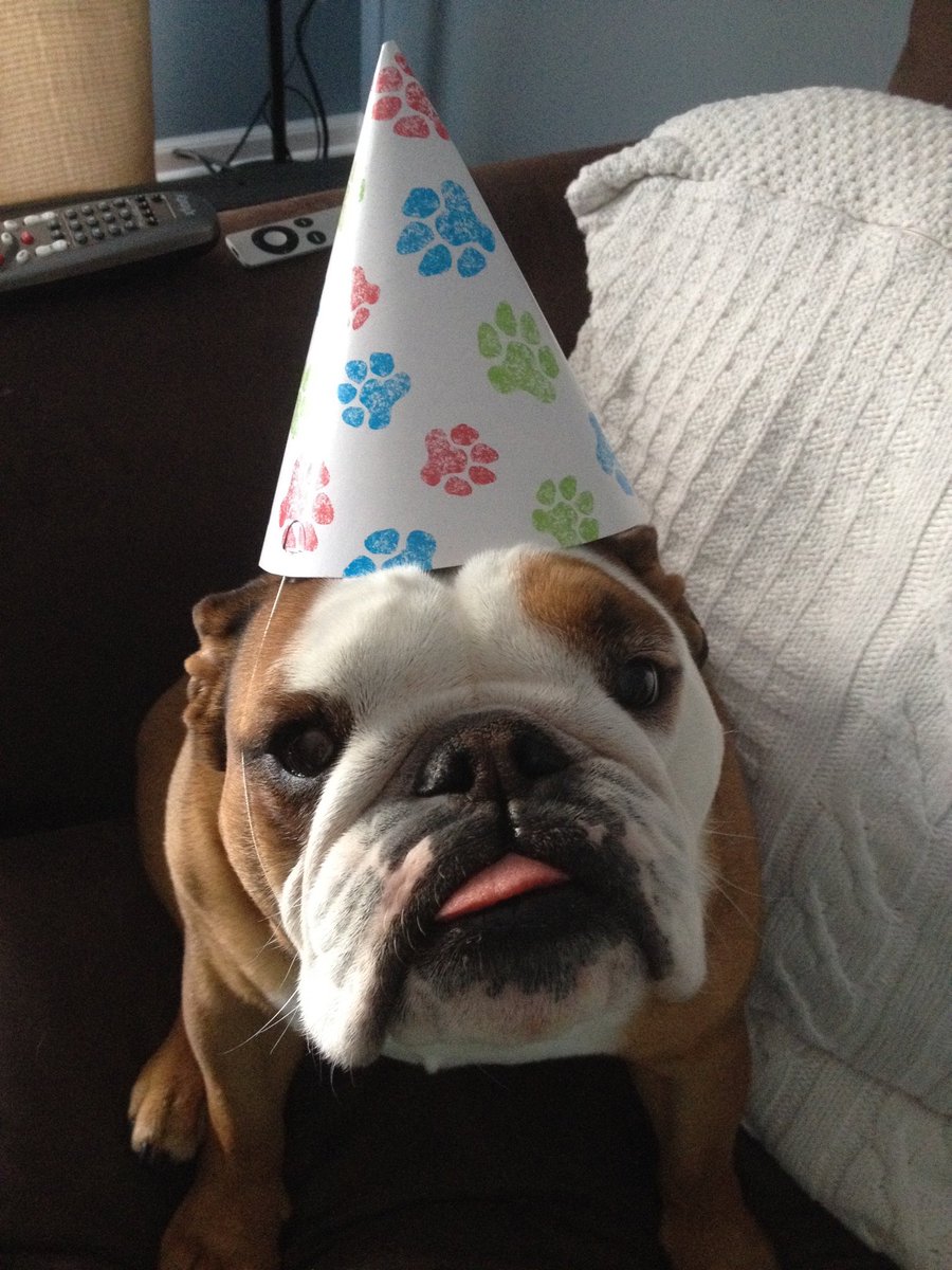 Remembering Sophie on what would have been her 14th birthday. She was a special, special creature and there will never be another like her ❤️ -Sophie’s mom