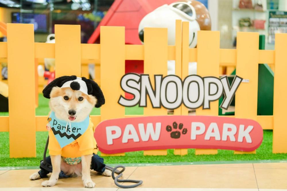 SM Megamall and Peanuts Worldwide have teamed up to create Snoopy Paw Park, a delightful new playground for furry friends at Level 5, Mega Fashion Hall. Know more: businessmirror.com.ph/2024/02/01/exp…