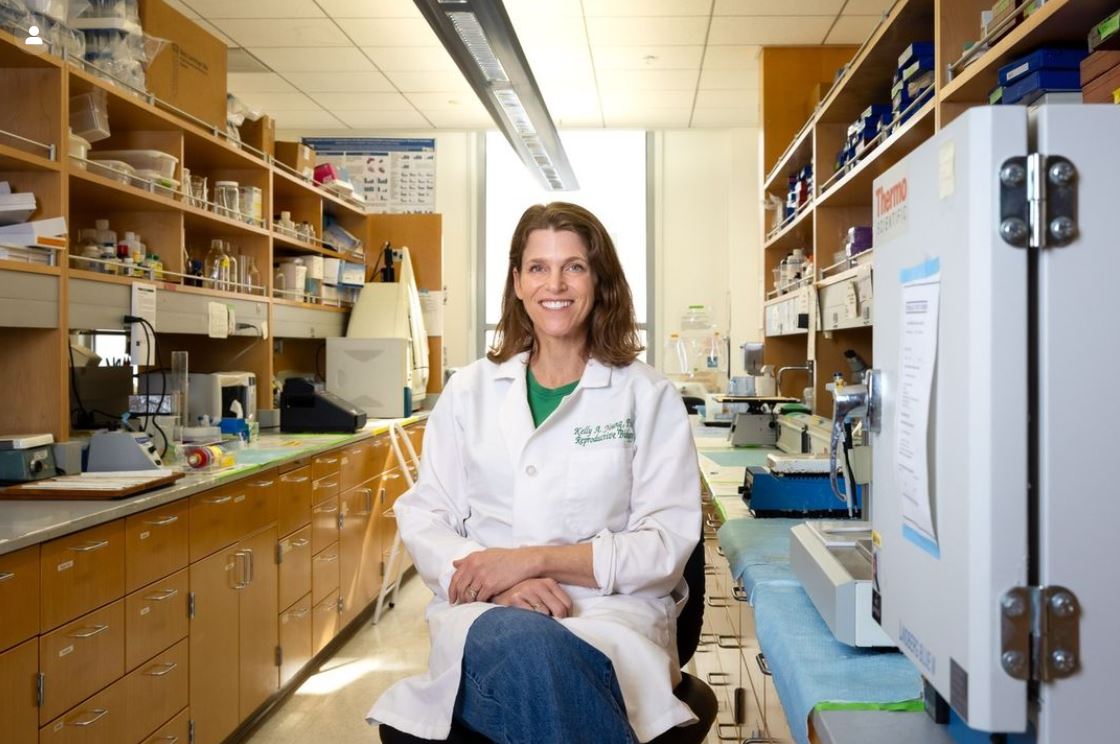 ProvostKSG's tweet photo. #BeachExcellence Professor of biology, Dr. Kelly Young, recently earned the Wang Family Excellence Award for Outstanding Faculty Innovator in Student Success. Read about Dr. Young’s groundbreaking accomplishment: https://t.co/du8E9o3ggU. https://t.co/l9l80vVr9s