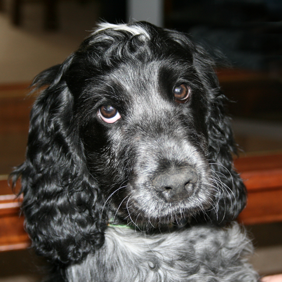 Stu Elsom tweet media