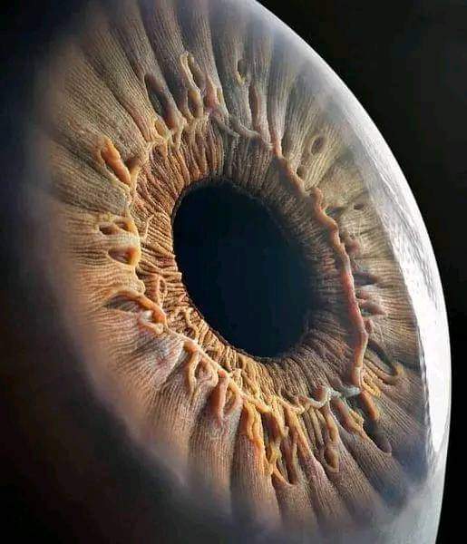 ScienceNatureW2's tweet image. Macro photography of a human eye 👁 It looks like a nebula 🌌