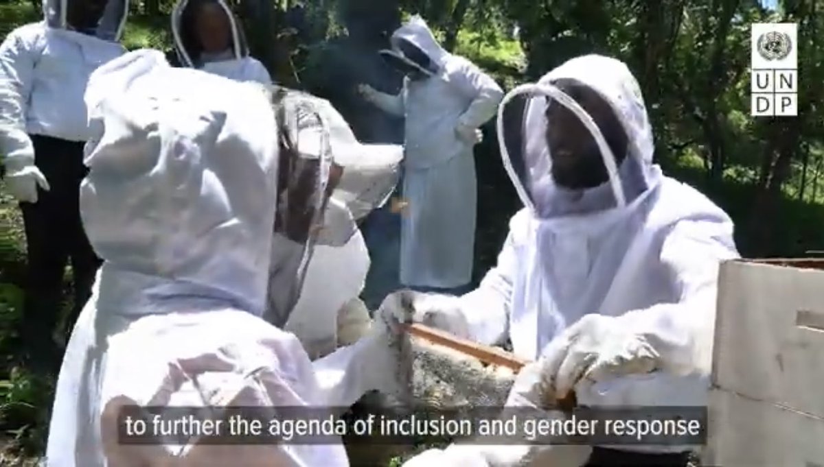 UNDPBarbadosEC's tweet photo. Bees are a big deal in the #Caribbean! 🐝🐝🐝
Great things happening in #Grenada 🇬🇩 too - in this case with the #EnGenDER project, supported by 🇨🇦
Check it out! 👉🏽 https://t.co/11hWP0MUgF
@CanHCBarbados https://t.co/wBA76hnWsu