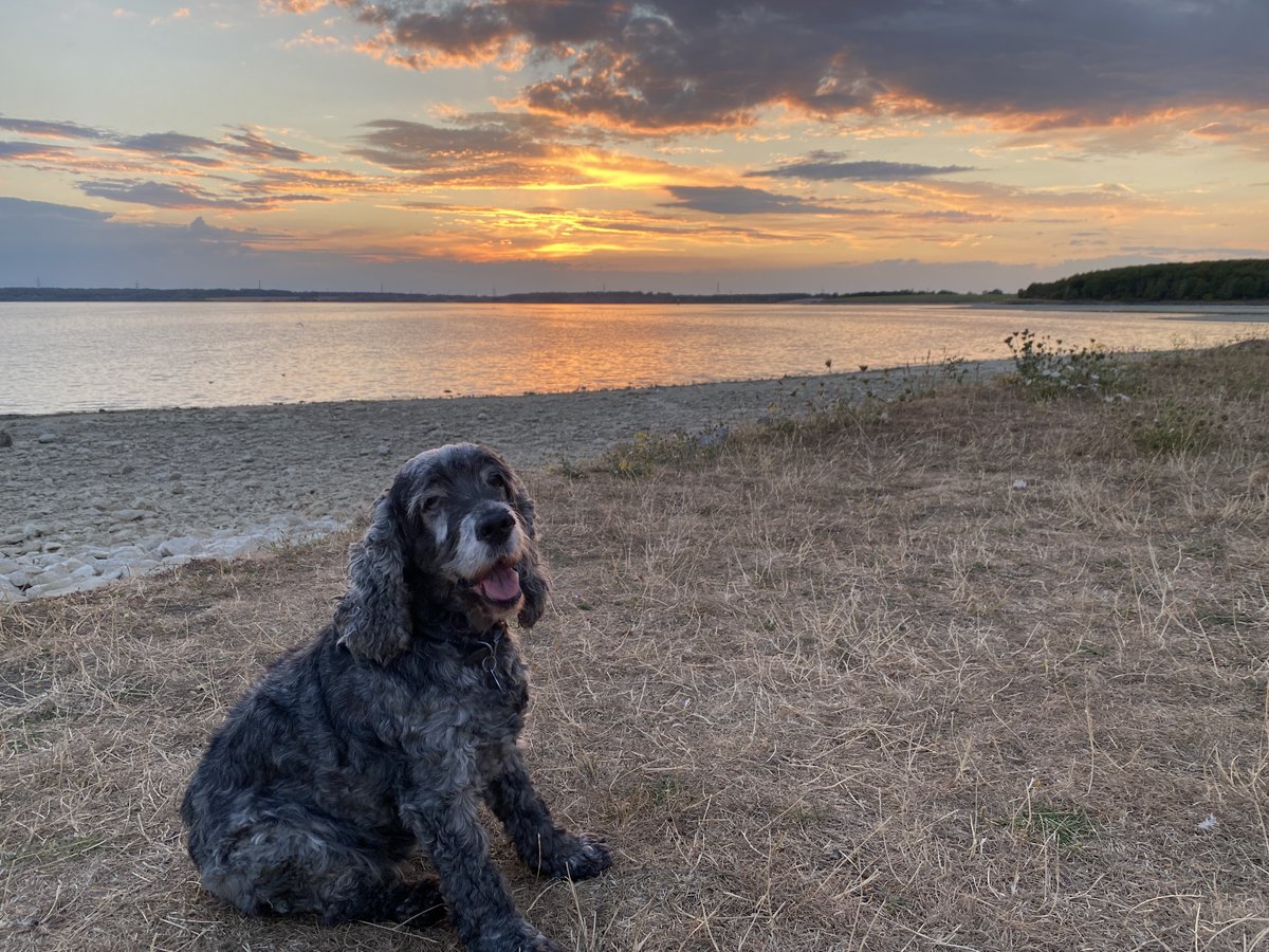 Stu Elsom tweet media