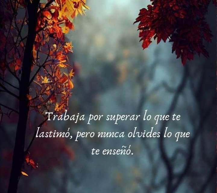 Motivosentuvida's tweet photo. Trabaja por superar lo que te lastimó, pero nunca olvides lo que te enseño. https://t.co/djkNrzdCqY