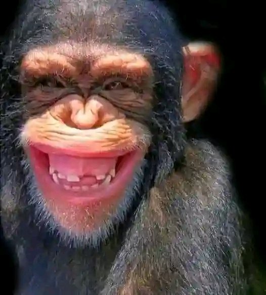 Skcosta19's tweet photo. @Hectic1020 😂😂😂🙆 https://t.co/Amw5rIi3vQ