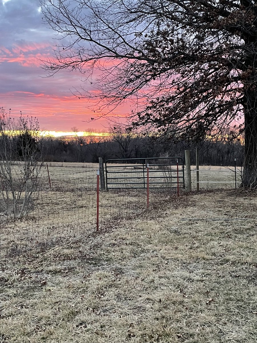 MargiCulp's tweet photo. Tonight’s sunset from #DaFarm https://t.co/V9DfpxGJ7C