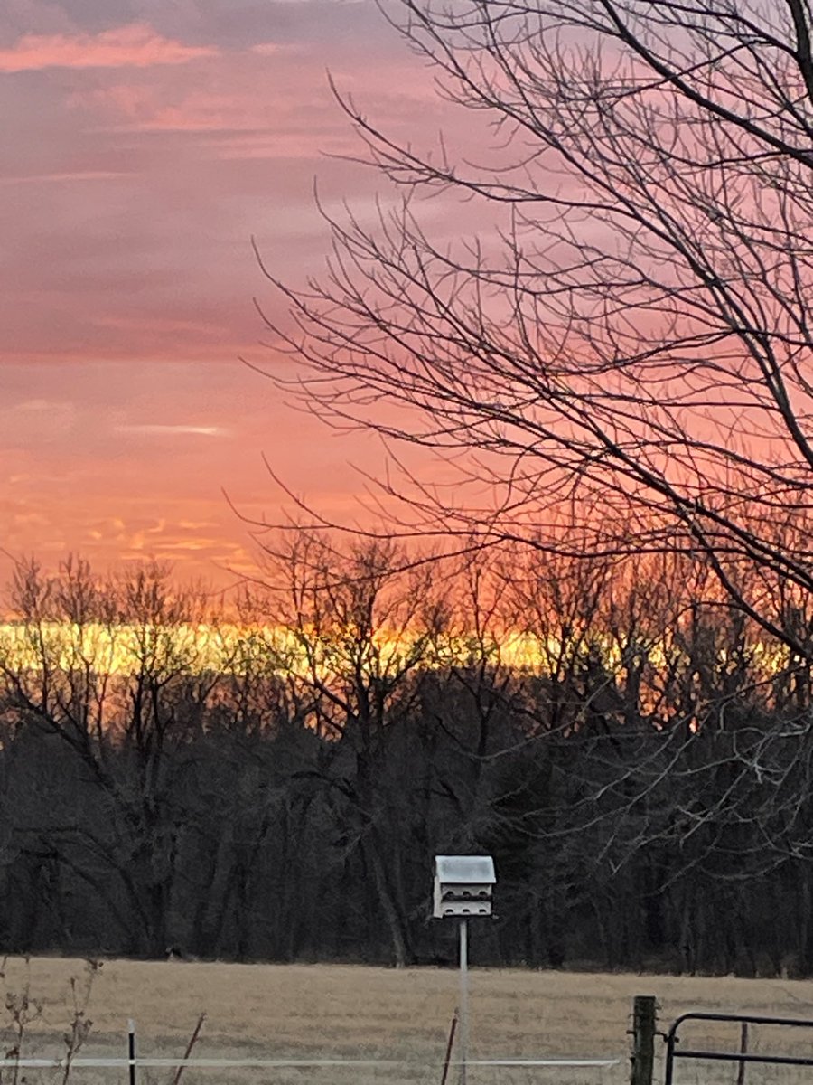 MargiCulp's tweet photo. Tonight’s sunset from #DaFarm https://t.co/V9DfpxGJ7C