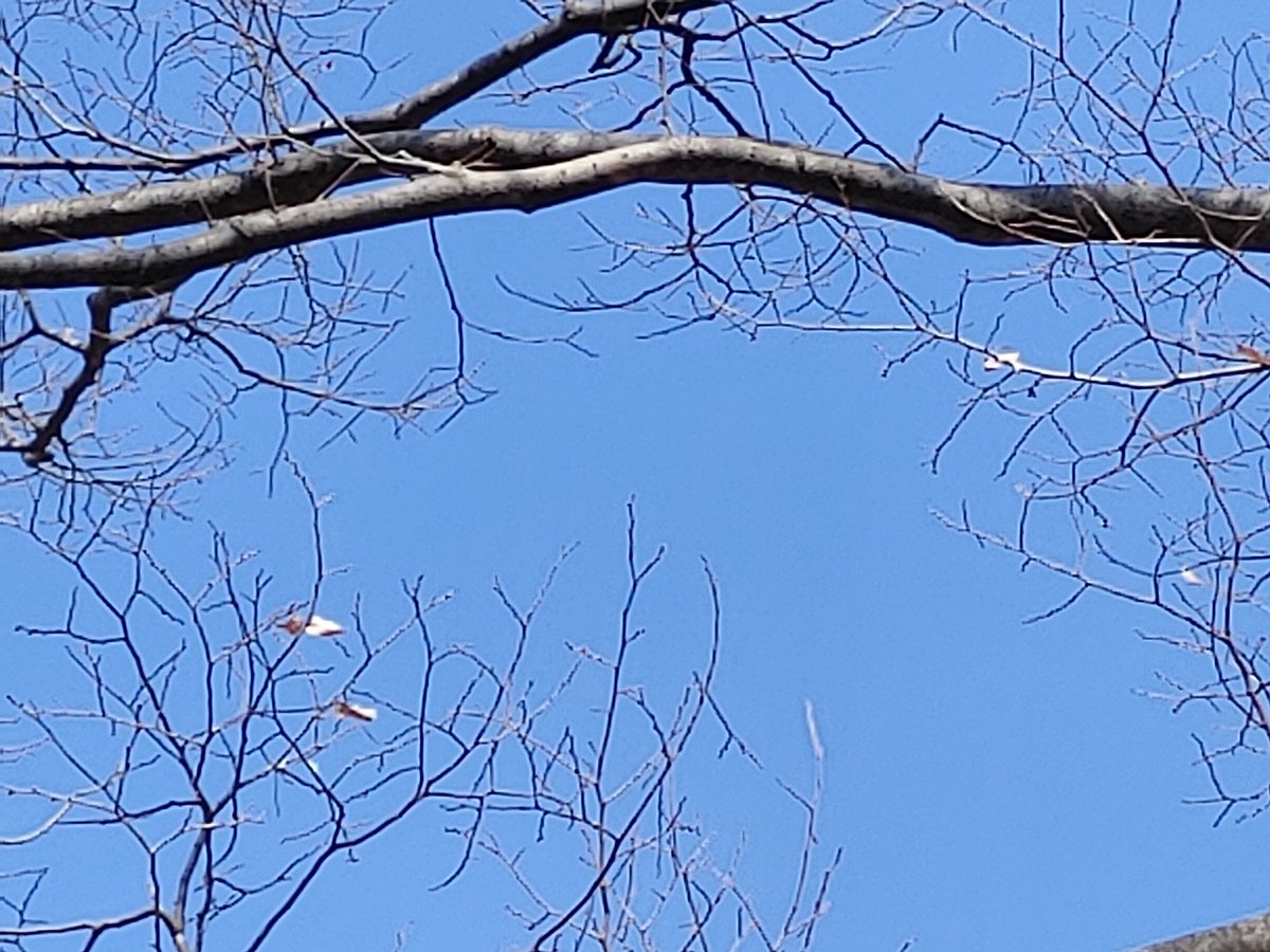 아침마다  하루도 그르지 않고 
출근해서 보내주는 사진과 글
오늘의 글은 위로가 된다.

"세상의 어떤 어려움이든
결국 끝은 있다."
이 또한 지나가리니...

"회오리바람이라도
아침나절을 넘기지 못하고
소나기라도 하루 종일
내리지 못한다"
세상의 어떤 어려움이든  
결국 끝은 있습니다..
