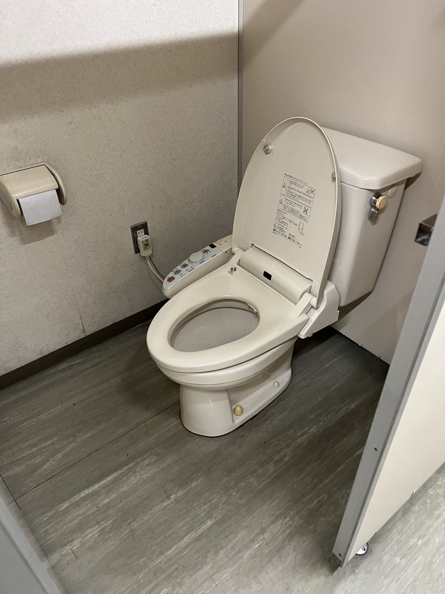 Japanese public toilets are pristine. They also give options for low tech squatting or high tech warm seat versions. Many still prefer squatting for mechanical reasons