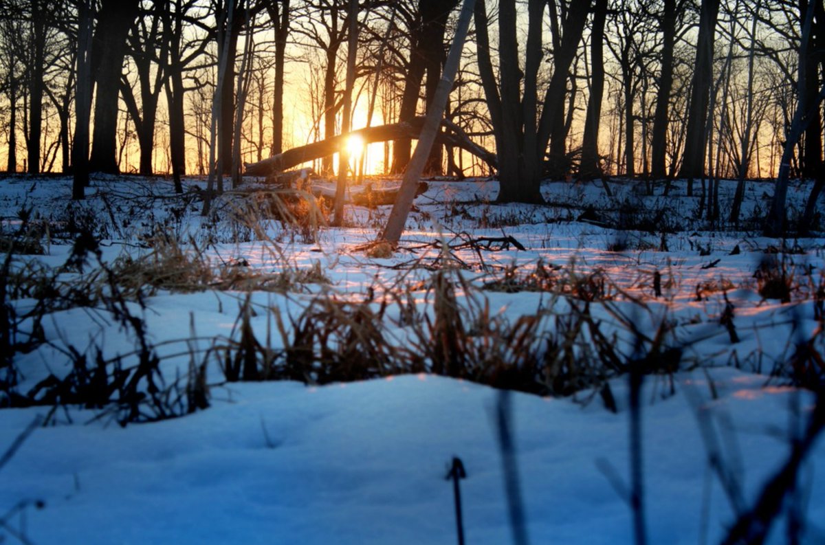 LCFPD's tweet photo. Need a reason to smile today? Enjoy this pretty view at Rollins Savanna in Grayslake. π
πΈ @irishvikingdesigns
β’
β’
β’
β’
β’
#LCFPD #VisitLakeCounty #Sunset #WinterSunset #ExploreOutdoors #WinterHike #ForestPreserves #SunsetWalks https://t.co/tKeACXsaz0