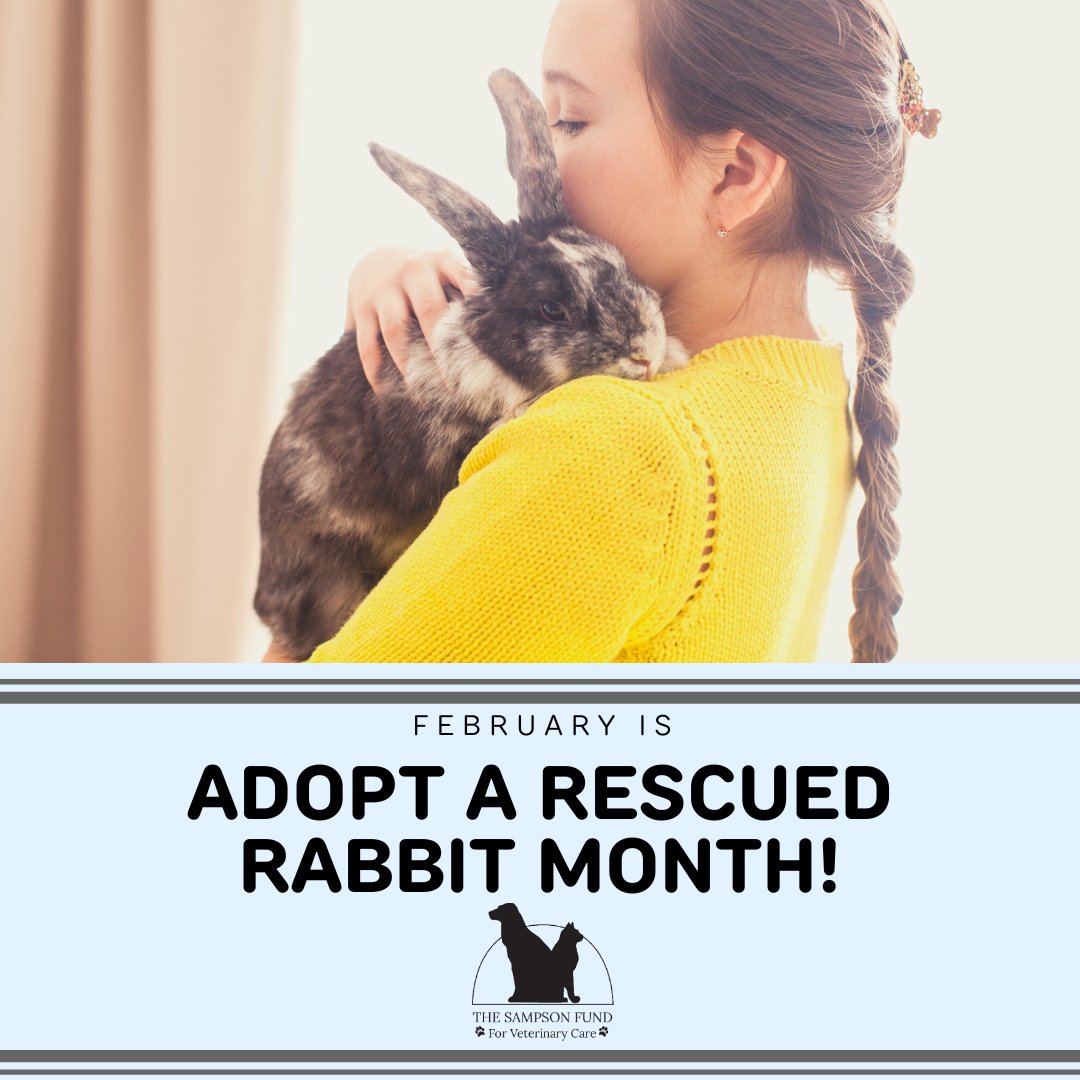 SampsonFund's tweet photo. February is Adopt a Rescued Rabbit Month. ๐๐If you have it in your heart to adopt a pet (and have done your research), check out available rabbits to adopt here: https://t.co/3OH34OsF3O
#capecod #sandwichMA #adoptarabbit #rescuerabbit https://t.co/VAzZhrsnUw