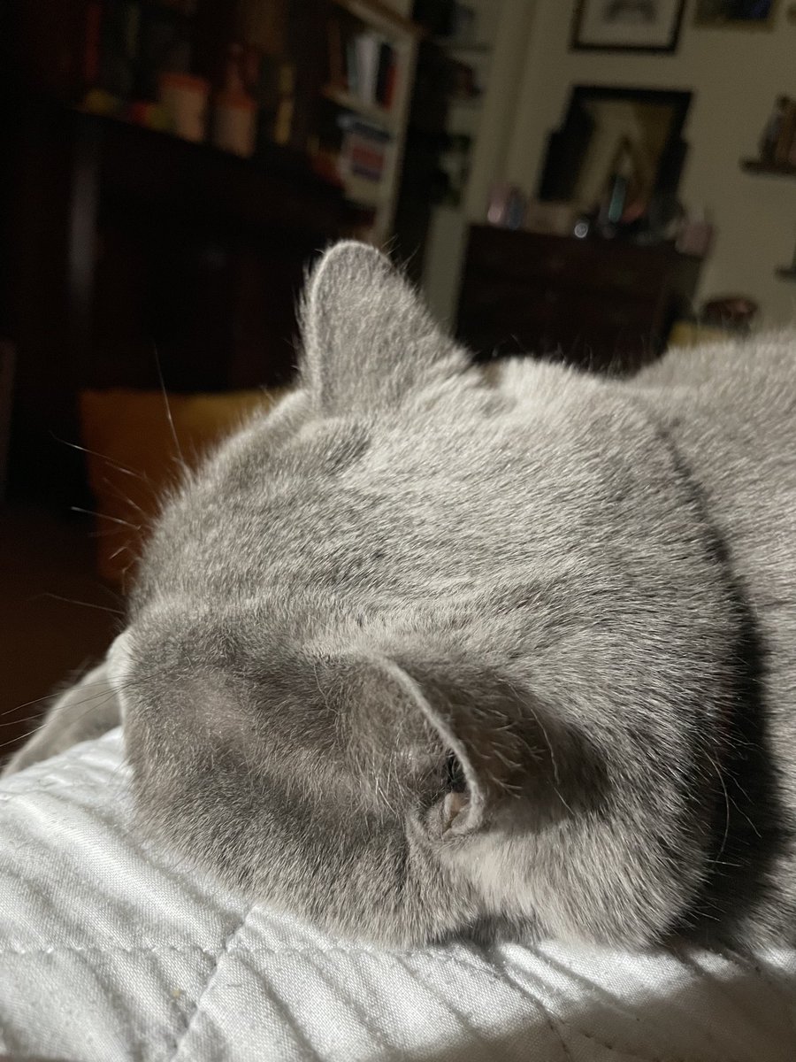 Sleeping with Mummy #Duke. 💜