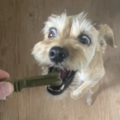 bella_fights's tweet photo. #NewProfilePic https://t.co/cEeSblVlRe