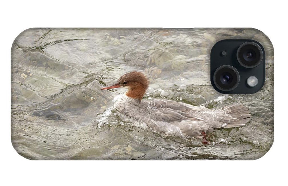 check out this Merganser duck phone case!
#merganser #phone #case #bird #wildlife #water #duck #waterfowl #outdoor #animal #water #wild #nature