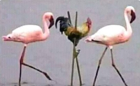 addyliciouss_'s tweet photo. When you are not qualified but you still get the job through connections: https://t.co/jnXLYamoFu