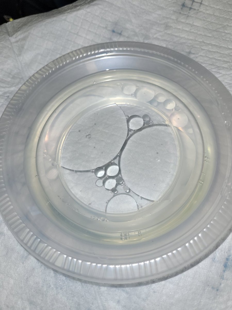 5th graders have been learning about human impact on the Earth's  sphere. This week, they worked as teams through the scientific method to try to clean oil from the "ocean" without doing more damage to their water source.