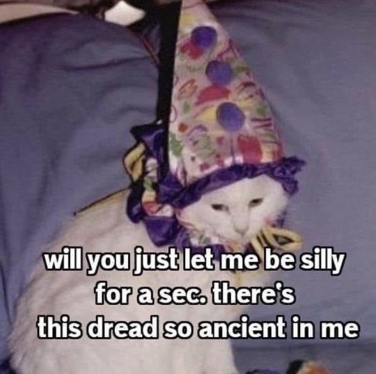 bilgafresh's tweet image. 