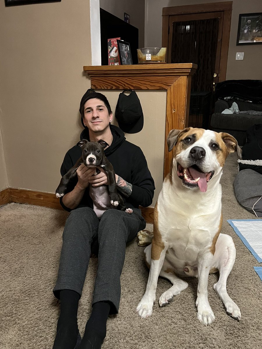 Meet Chief the new pup around the house