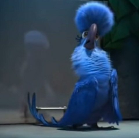 faby jurídico modern family tweet media