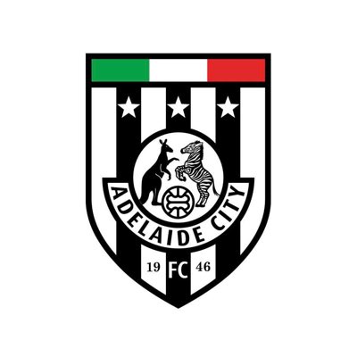 AdelaideCityFC's tweet photo. The flag has returned 🇮🇹🦓 https://t.co/ZzTzHHfEo8