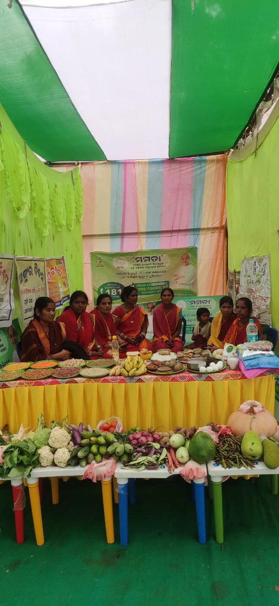 Awareness camp on "Amo Odisha Nabin Odisha" and other Development schemes held today at siripai and Gorakhpur gp of kashipur block.<a href="/DM_Rayagada/">Collector & DM, Rayagada</a> <a href="/PRDeptOdisha/">Panchayati Raj and Drinking Water Department</a> <a href="/ZP_Rayagada/">Zilla Parishad, Rayagada</a> <a href="/CMO_Odisha/">CMO Odisha</a>