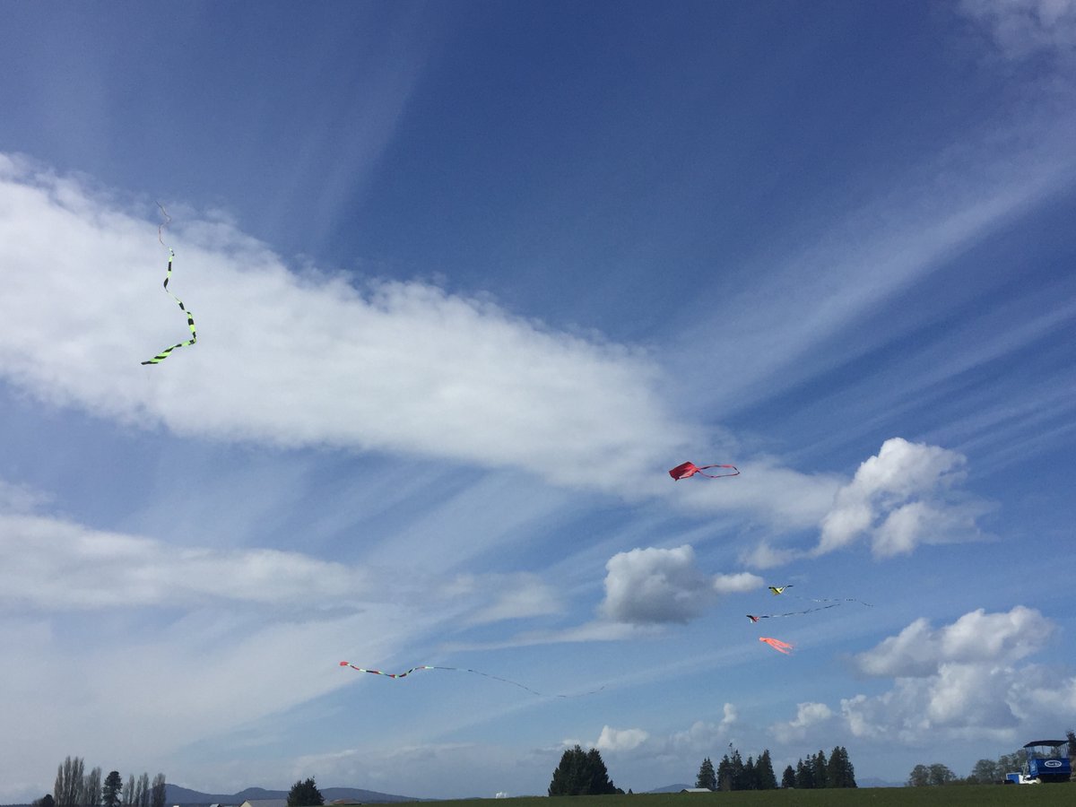 A great day to fly kites!

Take some time this weekend and do something fun, unplug, enjoy the moments!

Whidbey Island, Washington

#kitefestival #adventure