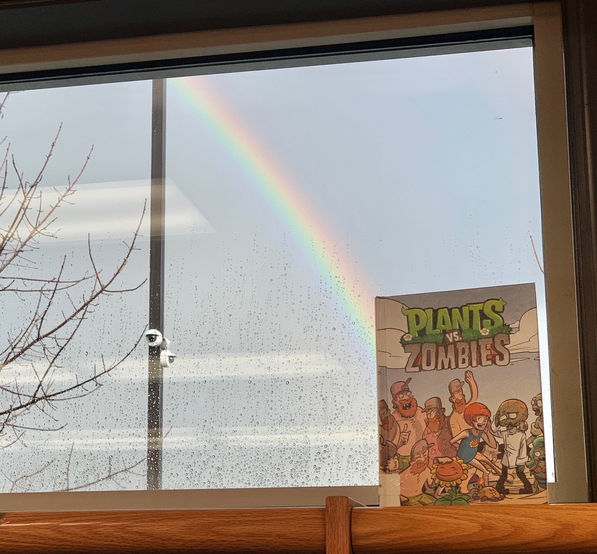 MrsEsBookBees's tweet photo. Want to know what's *really* at the end of a rainbow? NEW books for kiddos, of course! ;) 
Thankful to BCSD for keeping our school libraries stocked with the most popular titles!
#bcsdreads
#wearejefferson
#RainyDays 
#rainbow https://t.co/Cirgk9YXYr