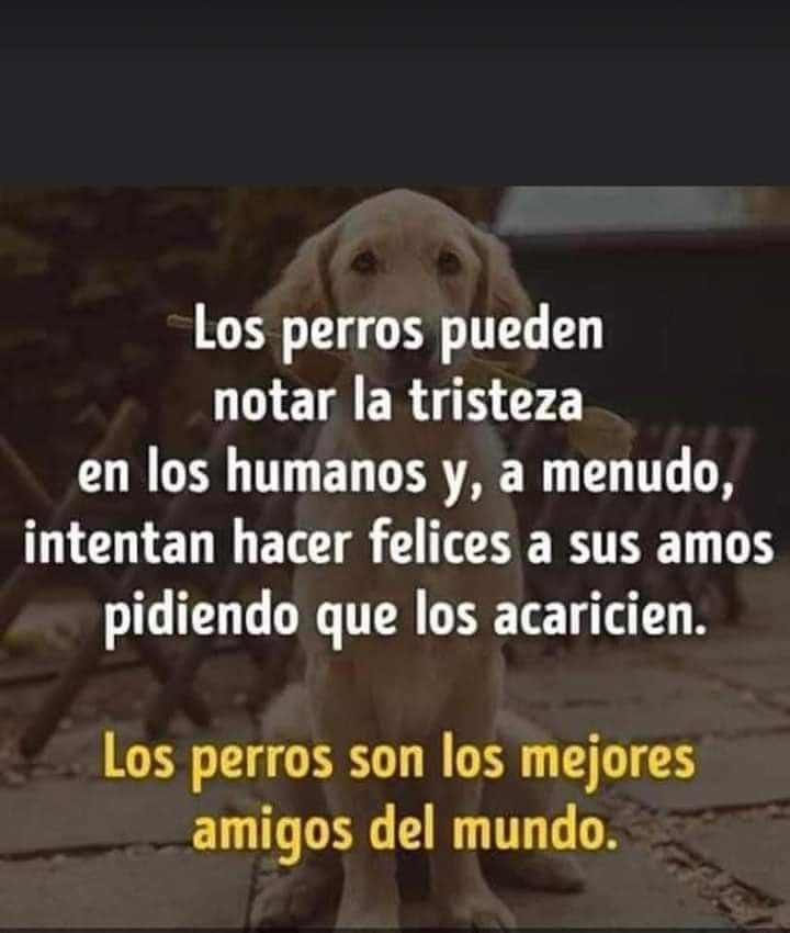 Guadalupe Ramirez tweet media