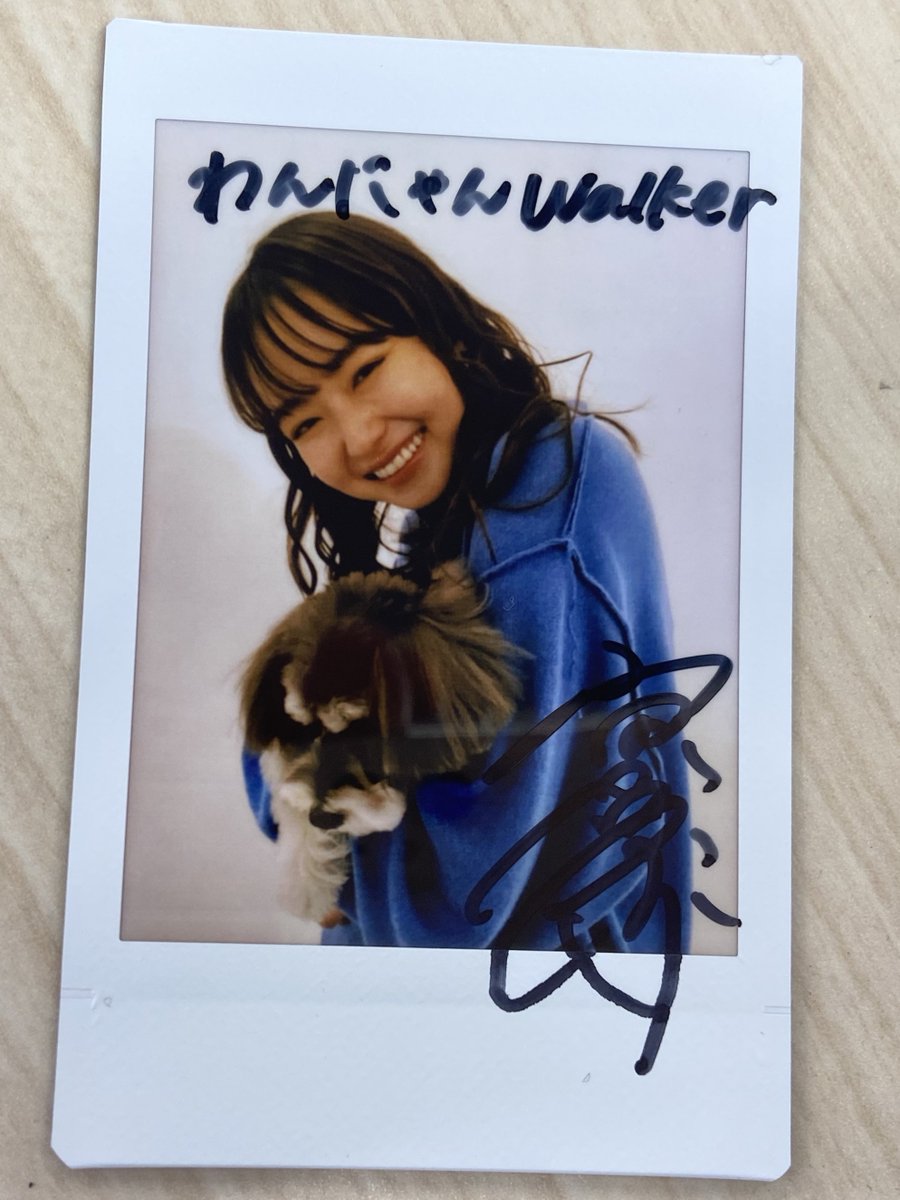 wannyanwalker's tweet photo. 【💘#プレゼント企画📸】

「#わんにゃんウォーカー」2・3月号の
表紙を飾ってくれた #山田杏奈 さん🐶🐱✨

人懐っこいミニーちゃんにメロメロな表情の写真を
抽選で1名様にサイン入りで #プレゼント します☺️

🔻申込フォーム
https://t.co/pHXqt7MErC

⏲3/20(水)まで
✉当選者にはDMでお知らせ👍 https://t.co/YsLldbeVSY