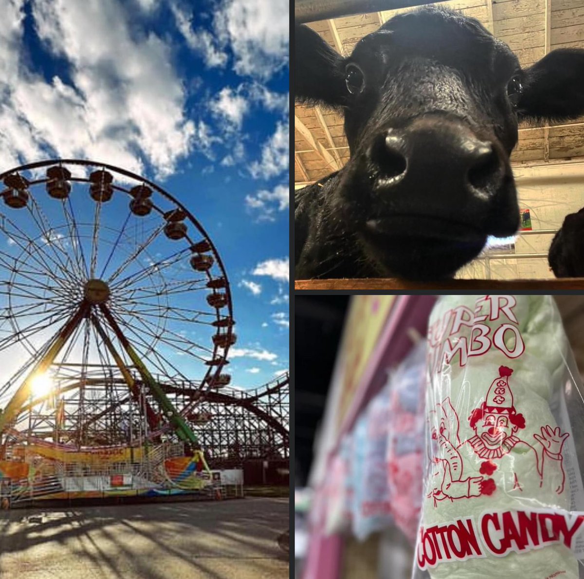 visitpierce's tweet photo. Just here to remind yโallโฆ the Washington State Spring Fair is only 70 days away! ๐คญ
#beamingwithexcitement #springfair #wastatespringfair #wastatefair #puyallupwa #piercecountytourism #piercecounty #tourism #dothepuyallup #wholesomefun #familyfun #startplanning #springbreak https://t.co/lm87qP205G