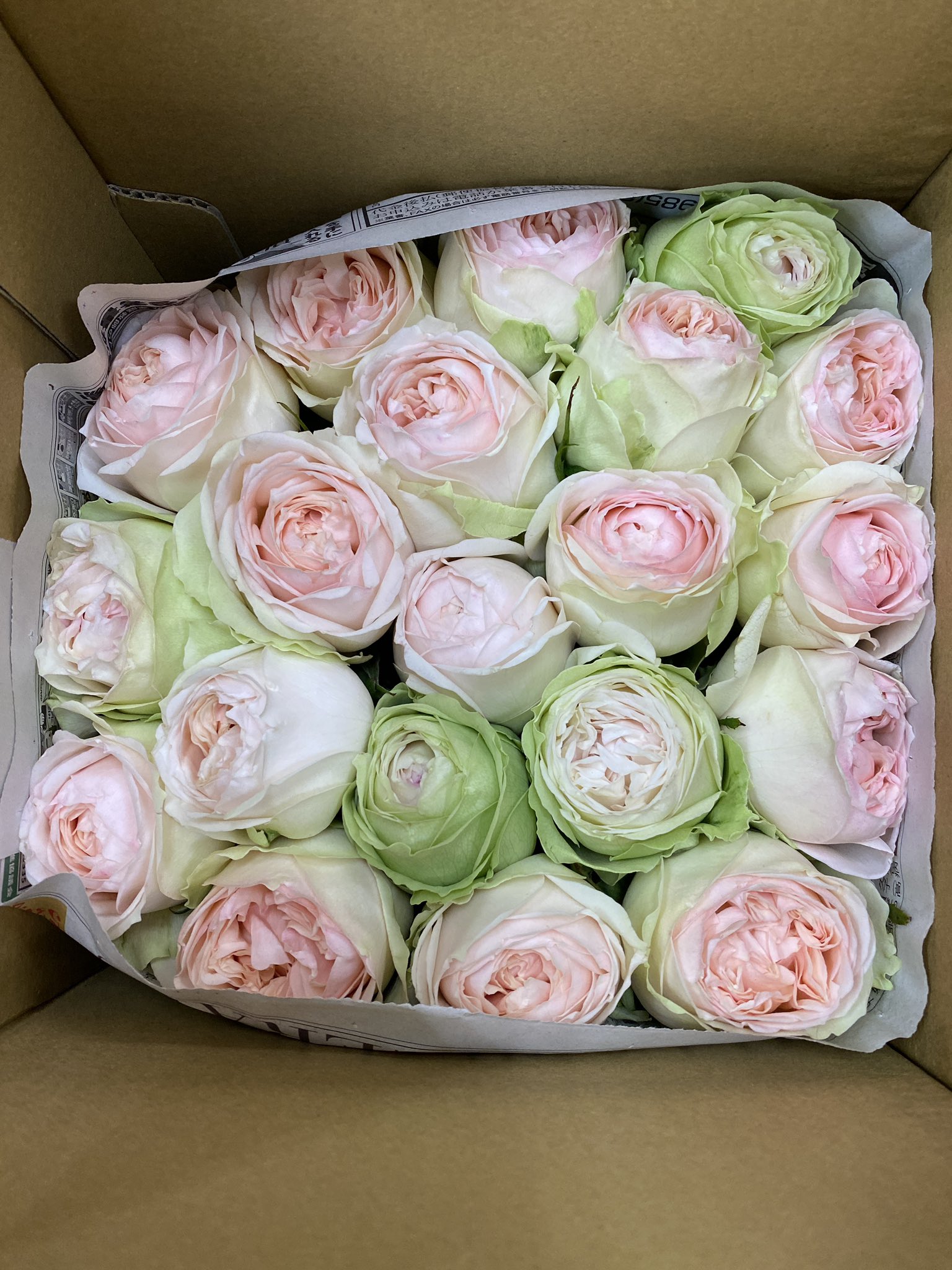 花重 京都 on X: 