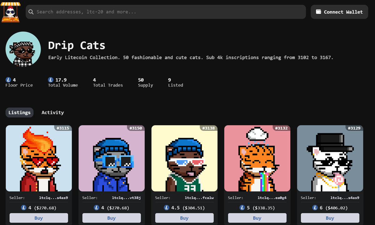 Drip Cats😼 tweet media