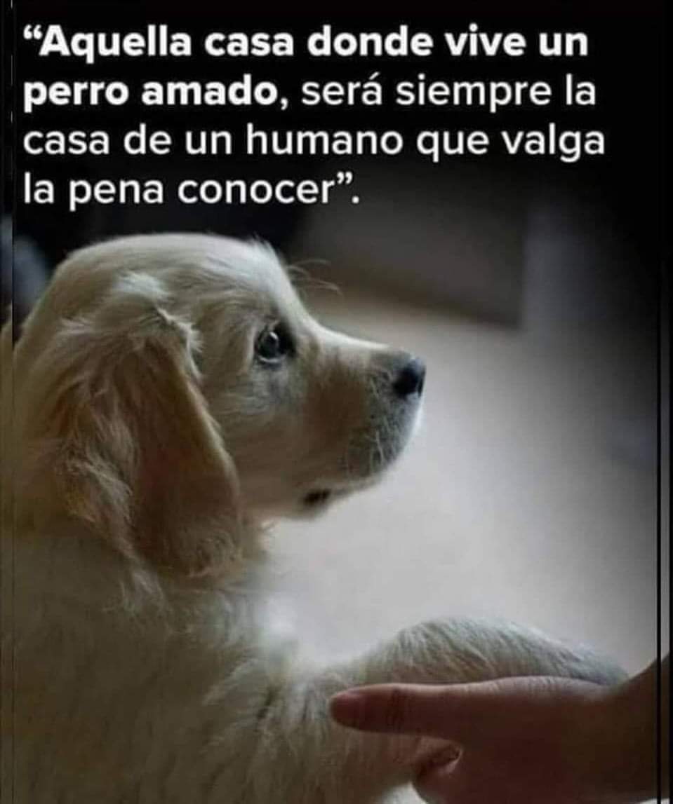 🐶😍