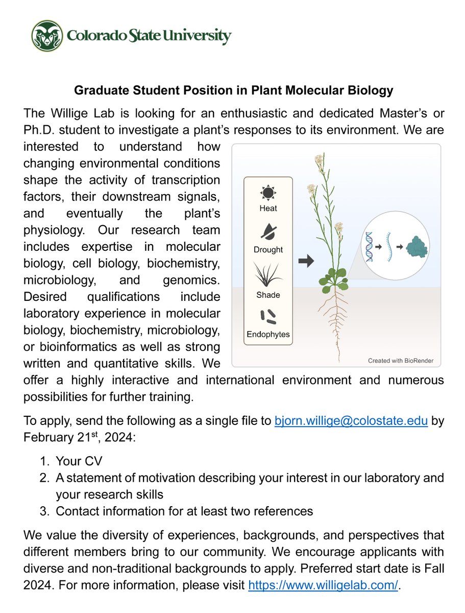 From my neighbor at CSU 😃 -->🧬Graduate Student Position in Plant Molecular Biology🌱 The Willige Lab is looking for an enthusiastic and dedicated Master's or Ph.D. student to investigate a plant's responses to its environment.