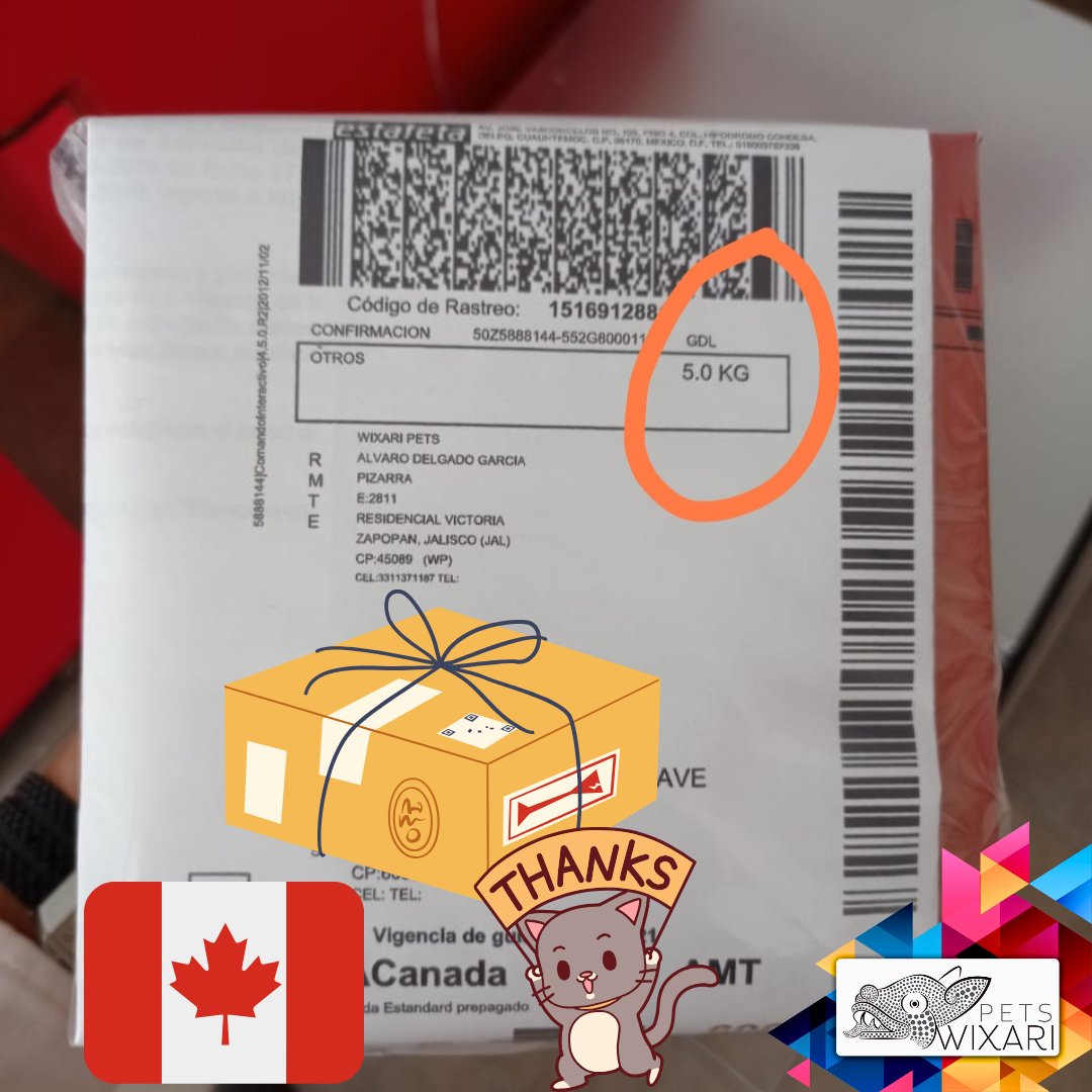 WixariPets's tweet photo. Hoy enviaremos 5 KG de #collareswixaripets a #canada #productosmexicanos 👌🏾
Pedidos ➡️📱 https://t.co/f6cvBQYqOc
#wixaripets #familiawixaripets
#collaresunicos #collaresconestilo #collares #collaresmx #collareshechosamano #collaresguadalajara #collaresdemoda #collaresparamascota https://t.co/ifzRCTneRT