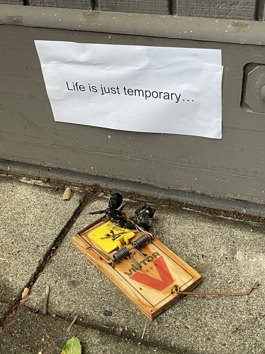 Celeste Betancur (@essteb) on Twitter photo 