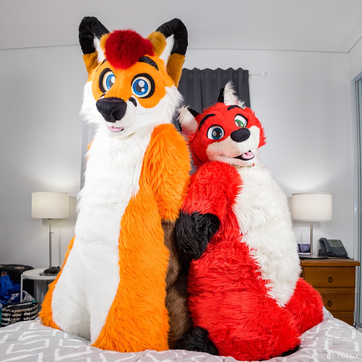 Happy #FoxFriday and #FursuitFriday with the ever adorable @Boxer_Fox! 🦊🦊