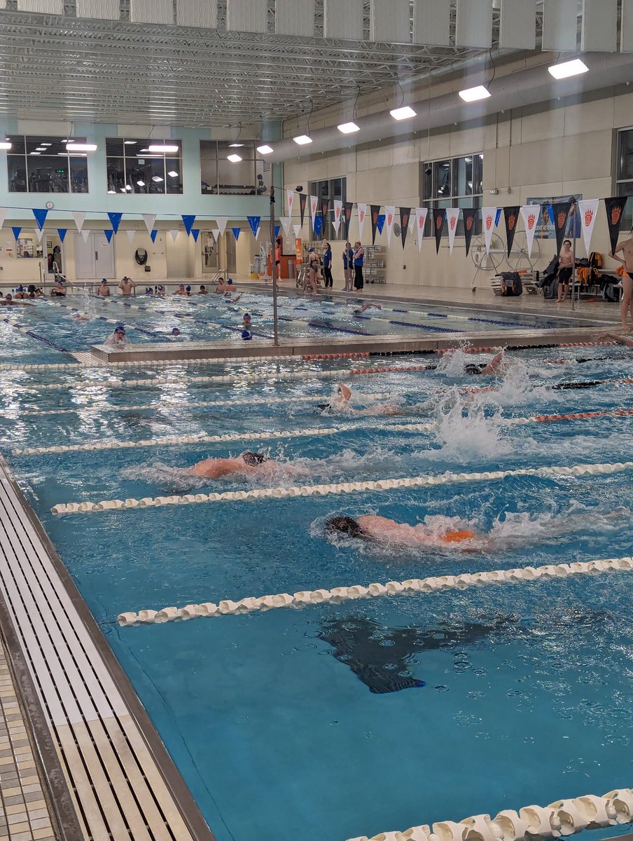GoWBLBears's tweet photo. Senior Night for Boys Swim and Dive!

#GoBears #WhiteBearNation #OneWBL https://t.co/ufH64ydeQ9