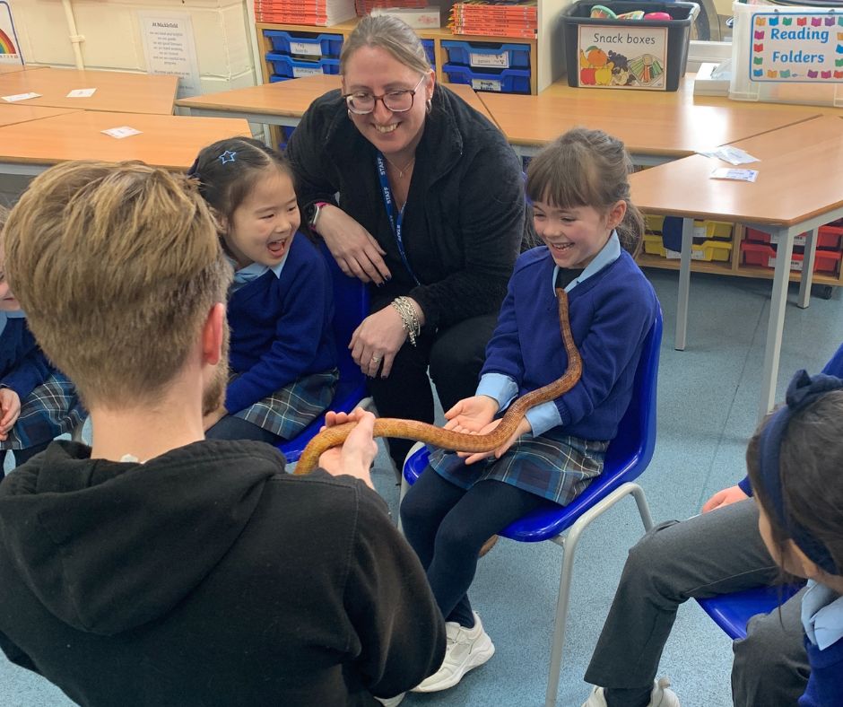 Micklefield School Reigate tweet media