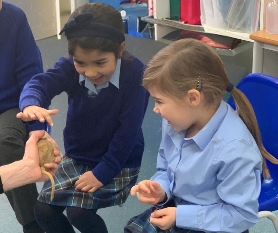 Micklefield School Reigate tweet media