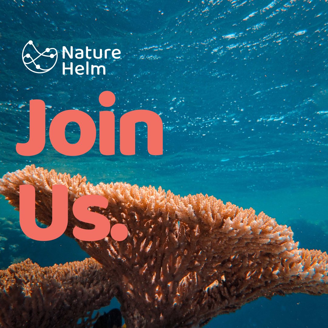 Are you looking for a rewarding opportunity at a dynamic startup? We are looking for a Biodiversity Director to join us! Candidates from Europe and the UK are encouraged to apply since this is a remote position working at a global scale.
hubs.ly/Q02jB3Kp0
#biodiversityjobs