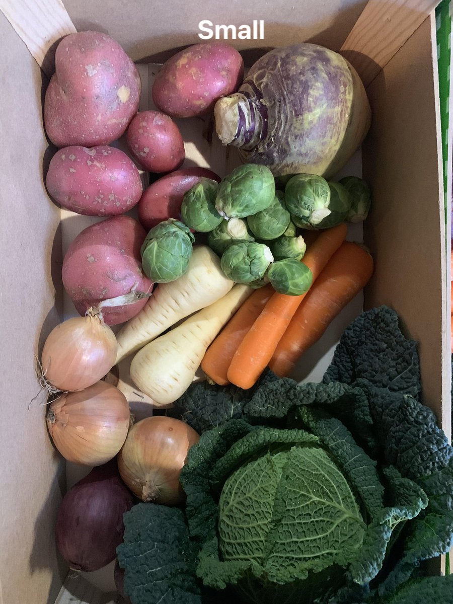 Tenterdengreens's tweet photo. 👀👀@Tenterdengreens https://t.co/Y0YjGamzkA