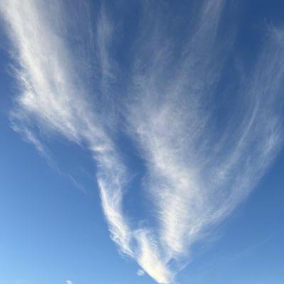 adrianfairlight's tweet photo. #NewProfilePic https://t.co/ZC3ifJpMdi