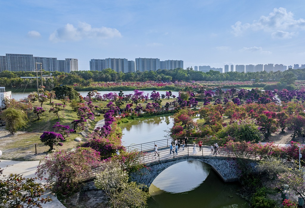 ThisisHainanGov's tweet photo. #ChinaCanvas The Bougainvillea Park in Lingshui county, South China's Hainan province, is now a sea of flowers. 🌺🌸🌴#BeautifulHainan https://t.co/YVy7FpAy2B