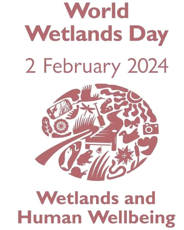 Wetlands are vital ecosystems that play a crucial role in conserving biodiversity and supporting healthy environments. #WorldWetlandsDay