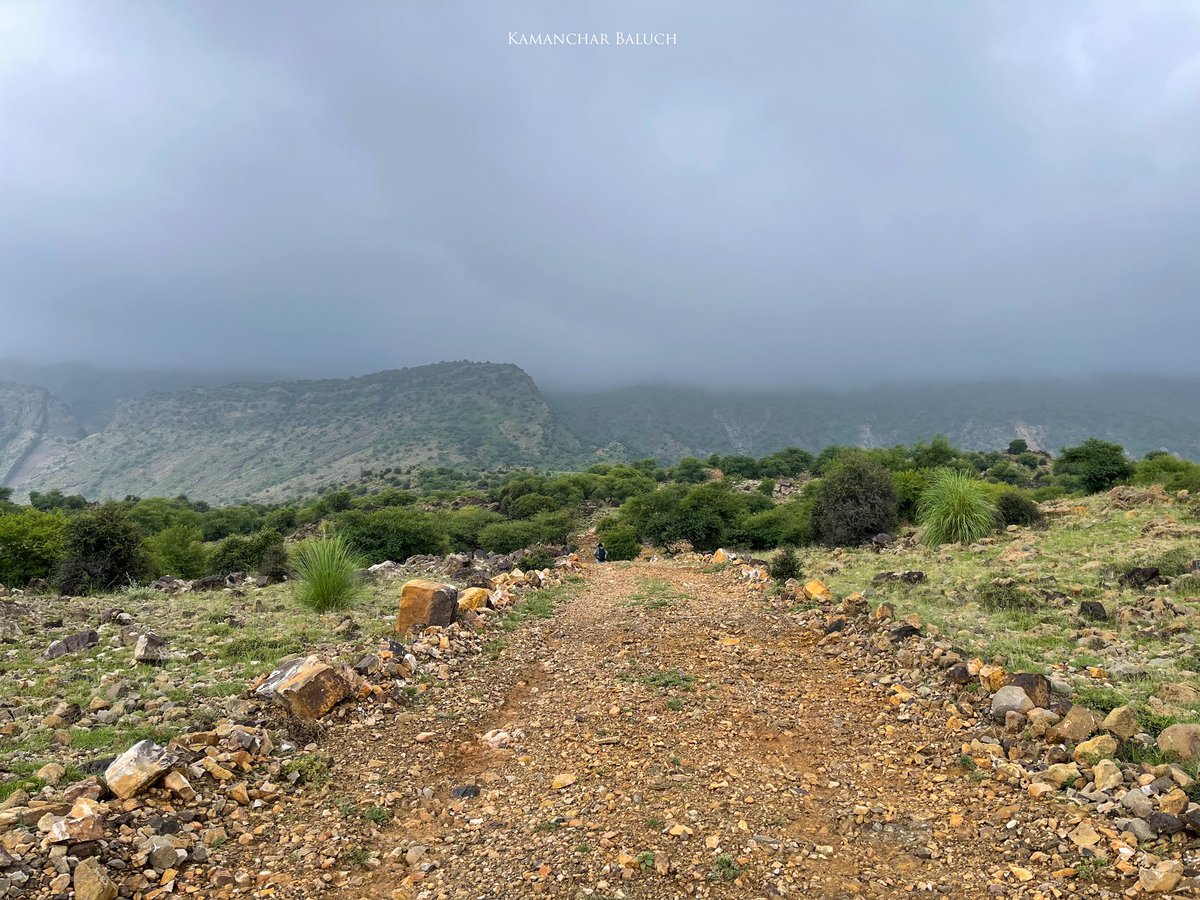 Behoo | Koh Sulimaan | Balochistan

.
.
.
Photo | <a href="/kamanchar/">Kamanchar Baloch</a>