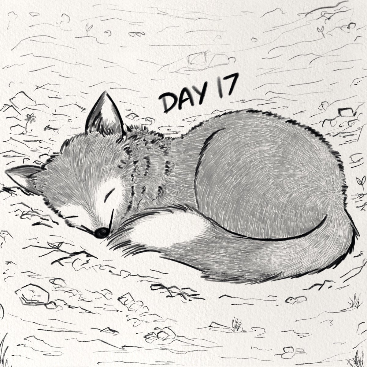 DAY 17 กับน้อง #จิ้งจอก น้อยที่กำลังหลับปุ๋ย วาดขนน้องทีละเส้นๆ รวมเวลาแล้ว 1 ชั่วโมงครึ่งค่ะ 🤣

DAY 17 with a sleeping #fox 🦊 one streak for one hair and this took me 1.30 hr 🤣

#365DaysOfAnimals