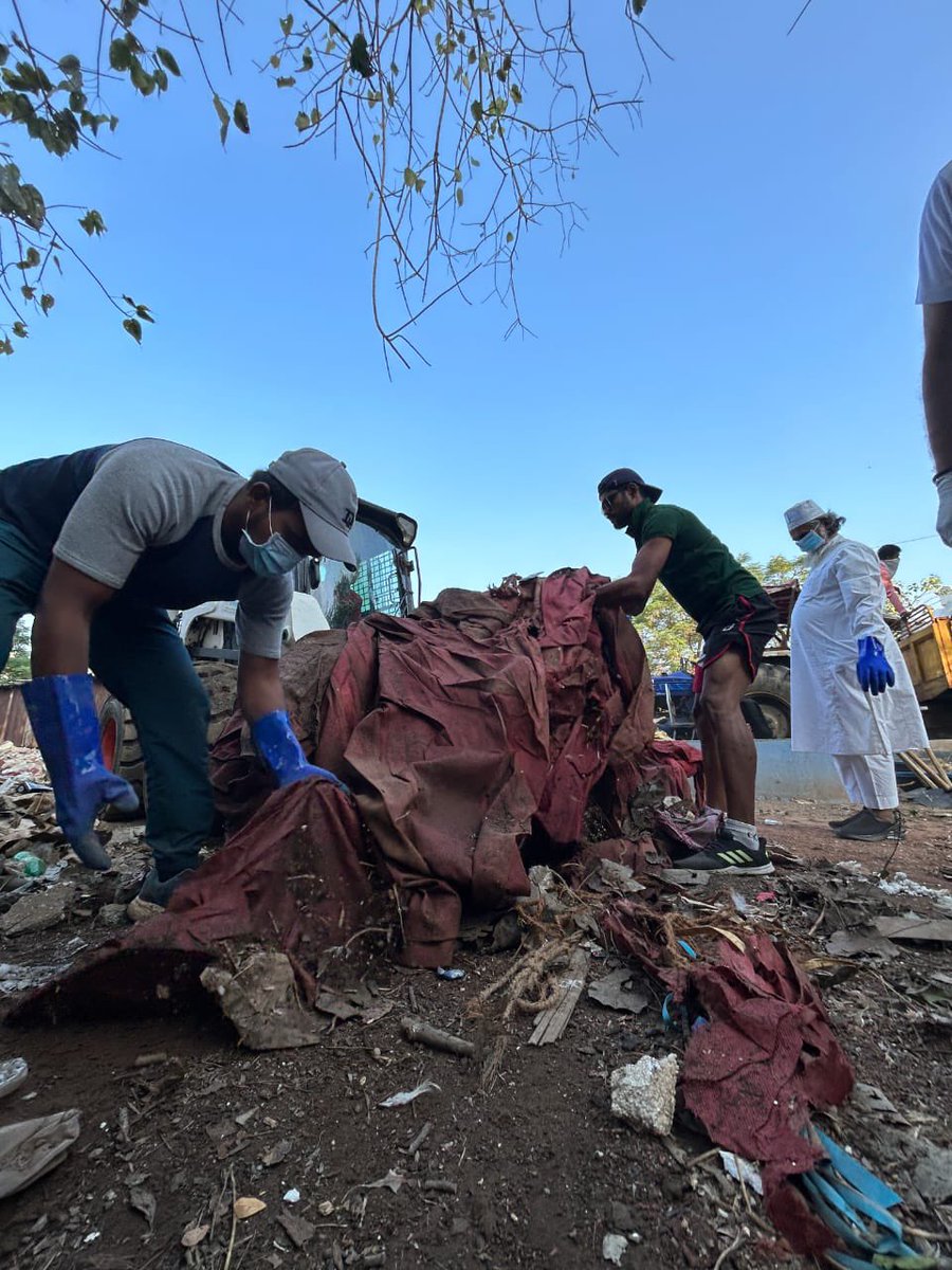 AfrozShah1's tweet photo. Week 464 .

We want give to our country - Our beloved India .

Our country and our planet has given us a lot .

We do our bit today . https://t.co/fFEQMlaSEl